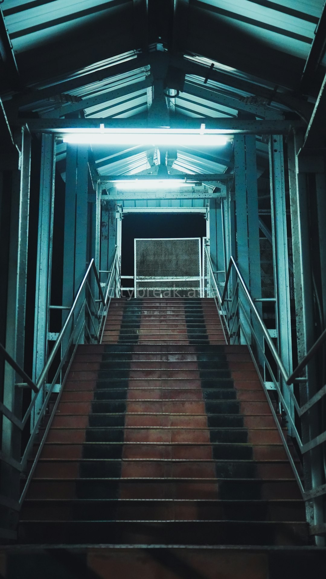 Reel 1